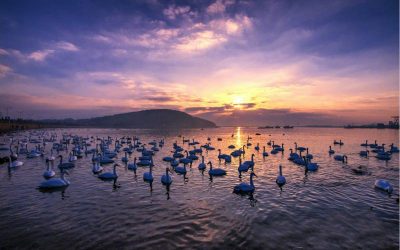 “文旅融合發(fā)展 樂享好客山東” 首屆中國國際文化旅游博覽會(huì)在山東舉辦